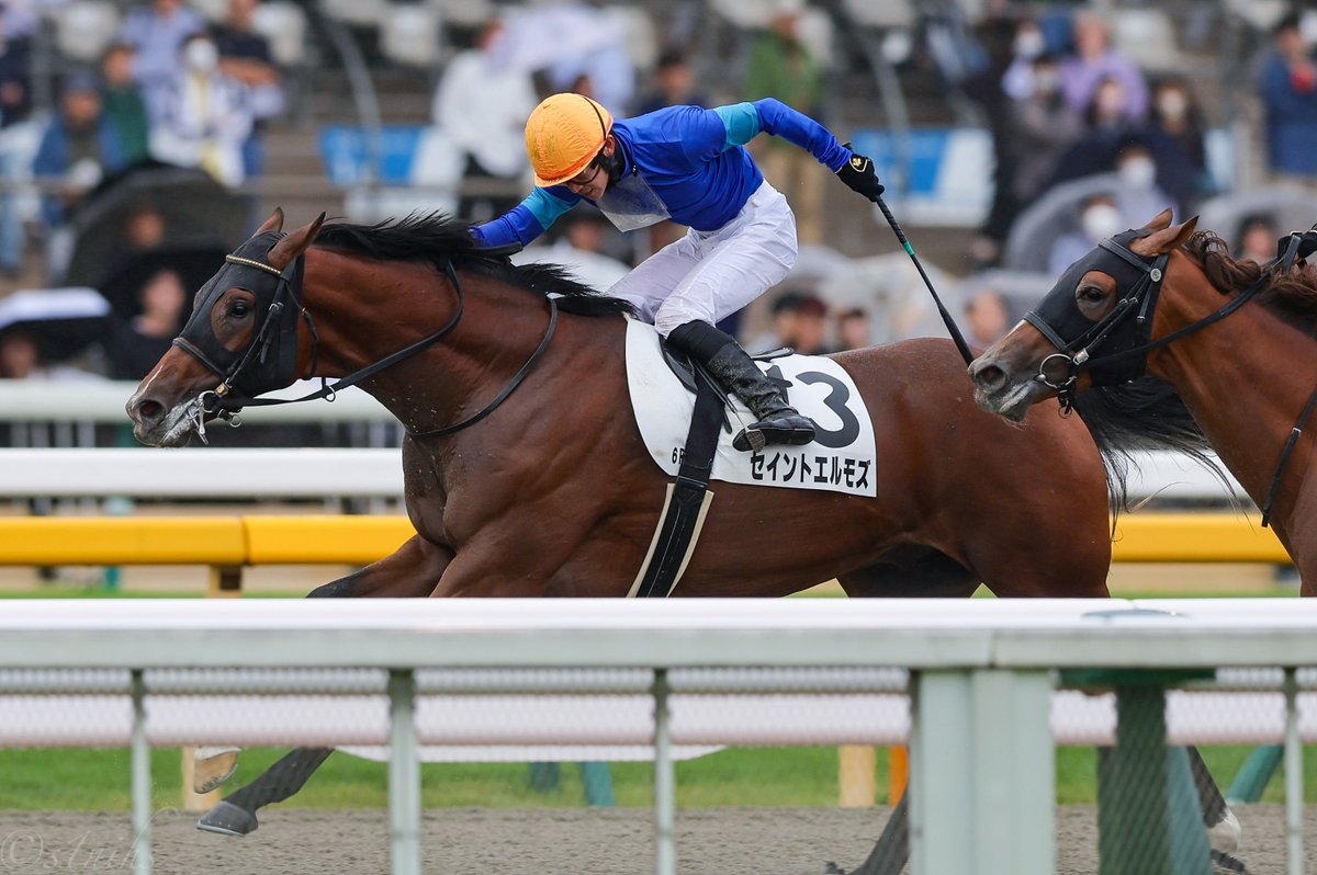 s1nihs's tweet image. #セイントエルモズ 
新馬勝ちおめでとうございます🏆