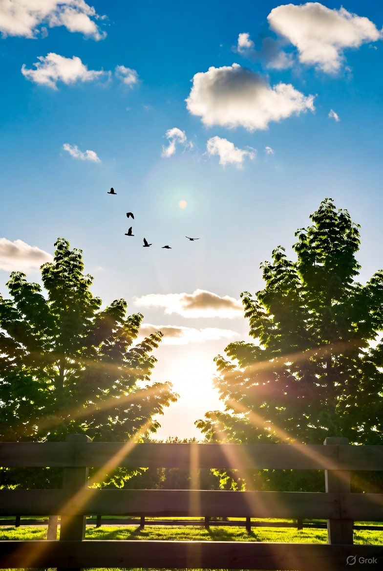 AbbyBane31's tweet image. Good morning from Ohio