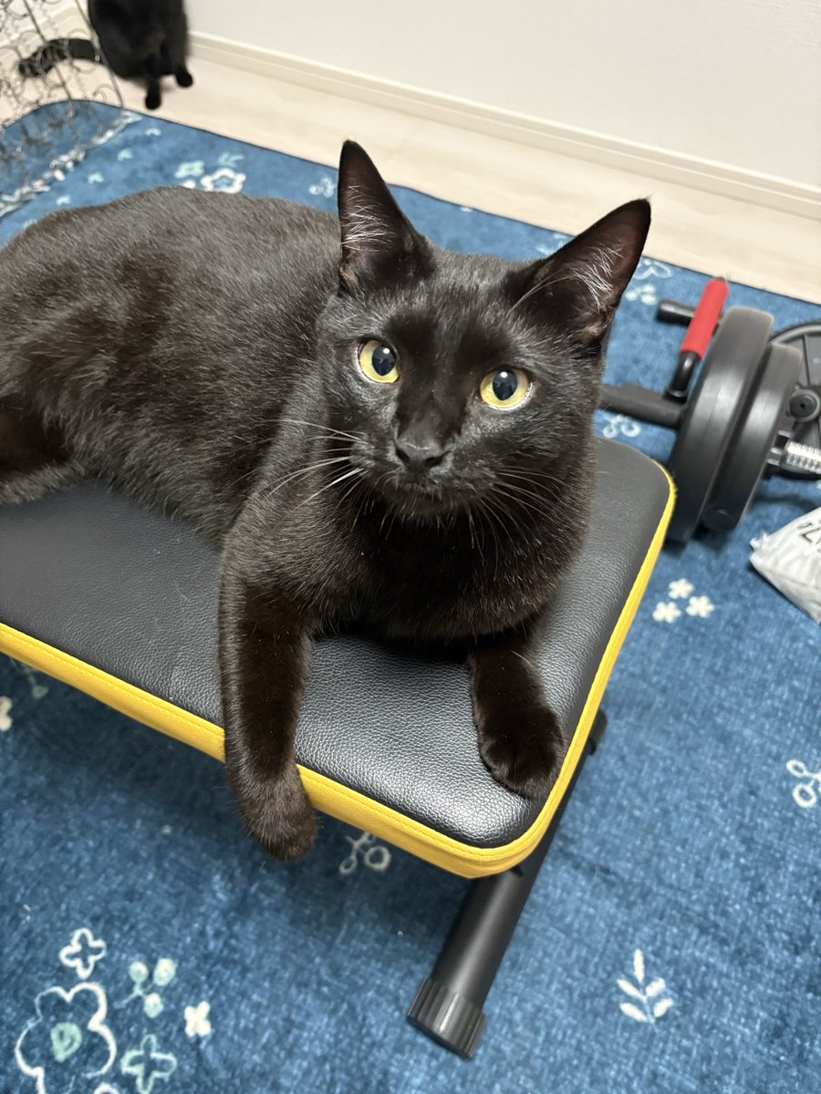 筋トレ🏋️💪もやっちゃう
イケ王子🤴