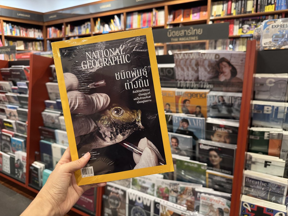 งานหนังสืออย่าลืมหยิบเล่มนี้ 🤣 เรื่องจากปกเอเลี่ยนส์สปีชีส์โดยข้อยเอง พร้อมภาพประกอบและแคปชันจากคุณกฤตนันท์ พบได้ที่แผงนายอินทร์และร้านหนังสือชั้นนำทั่วไป~
My <a href="/NatGeoMagTH/">National Geographic Thailand</a> cover story on alien species, with amazing images and image caption from Krittanun, hit newsstand today 🐟