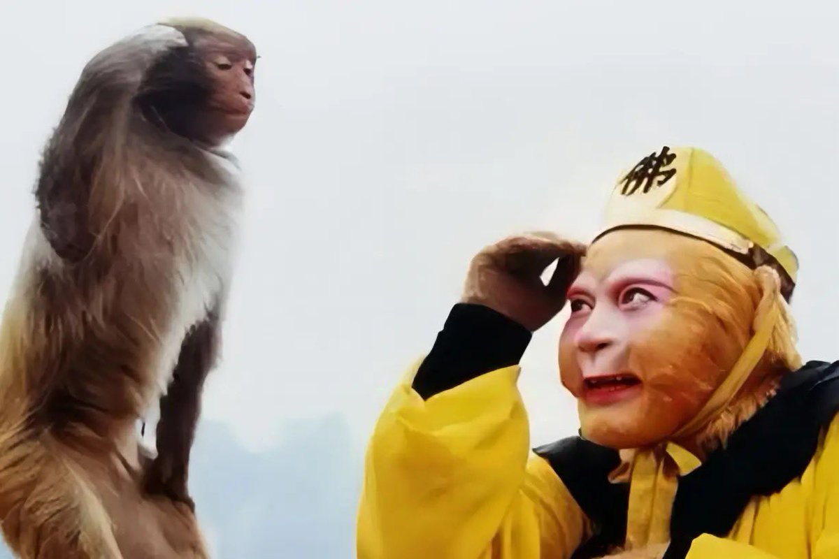 The same chinese guy that gave me 哈基米 at 700k and said this is a 100x just gave me 马喽 and said the same exact thing. 

Gods speed and all hail china 🇨🇳

互联网上最有名的猴子就在这里，如果你是中国人，你就知道了。

让我们把他送去，就像我们把猫送去一亿一样。