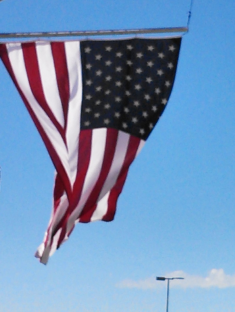 Patriots And Paws (@patriotsandpaws) on Twitter photo Good Day everyone and God Bless America! 🇺🇲
It is better to fail in originality than to succeed in imitation.” —Herman Melville Good Day everyone and God Bless America! 🇺🇲
It is better to fail in originality than to succeed in imitation.” —Herman Melville