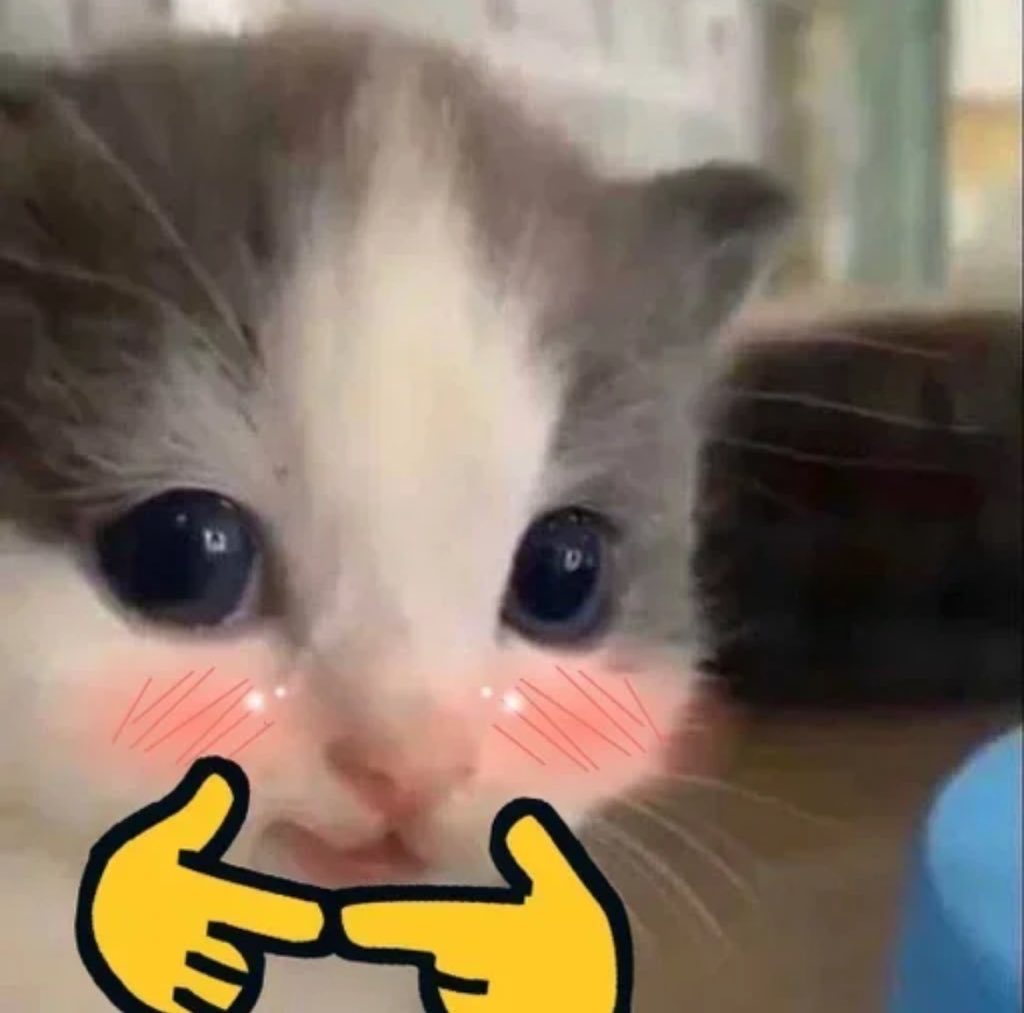 <a href="/nocontextscats/">No Context Cats</a> hehe