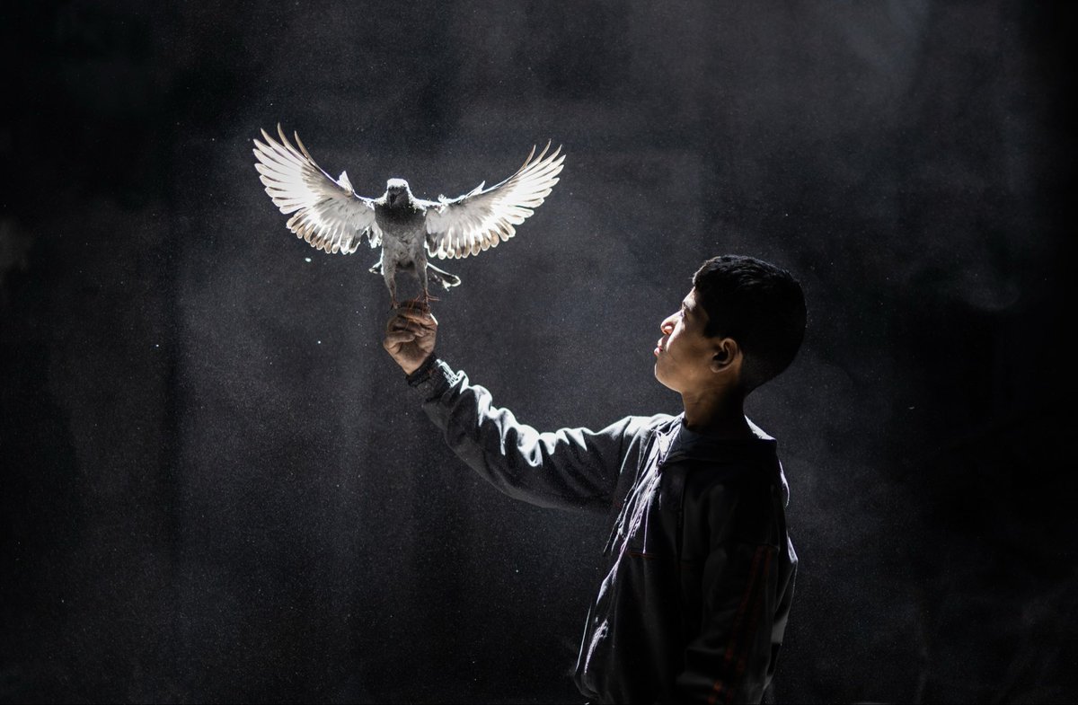 Gazze’de çocuklar artık gökyüzüne korkuyla değil, umutla bakacak. 🕊️

Ülkemizin ve bölge ülkelerinin arabuluculuğunda sağlanan ateşkes anlaşması, Gazze’ye insani yardımların girişini öngörüyor.

Bu adım, Gazze halkının hayata yeniden başlamasına vesile olacak. Dualarımız barışın