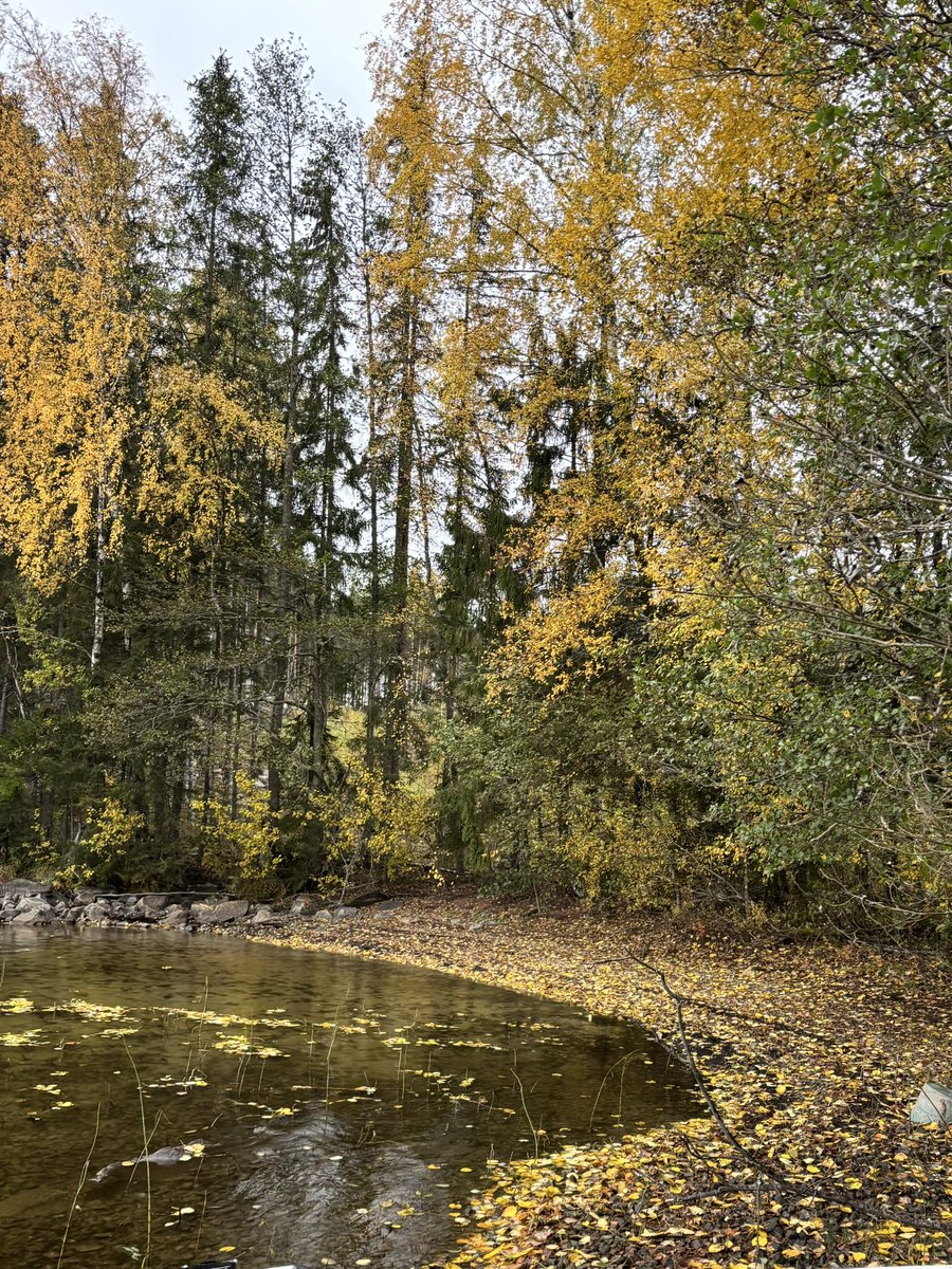 Työpäivä rannalla…