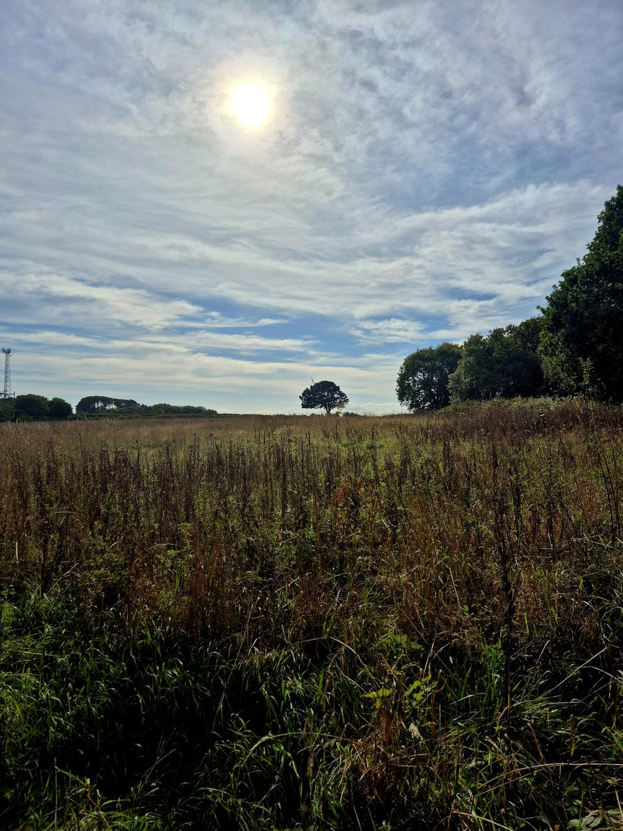 Sheriff Rick Grimes, Richmondshire County🇬🇧🤠⭐️ tweet media