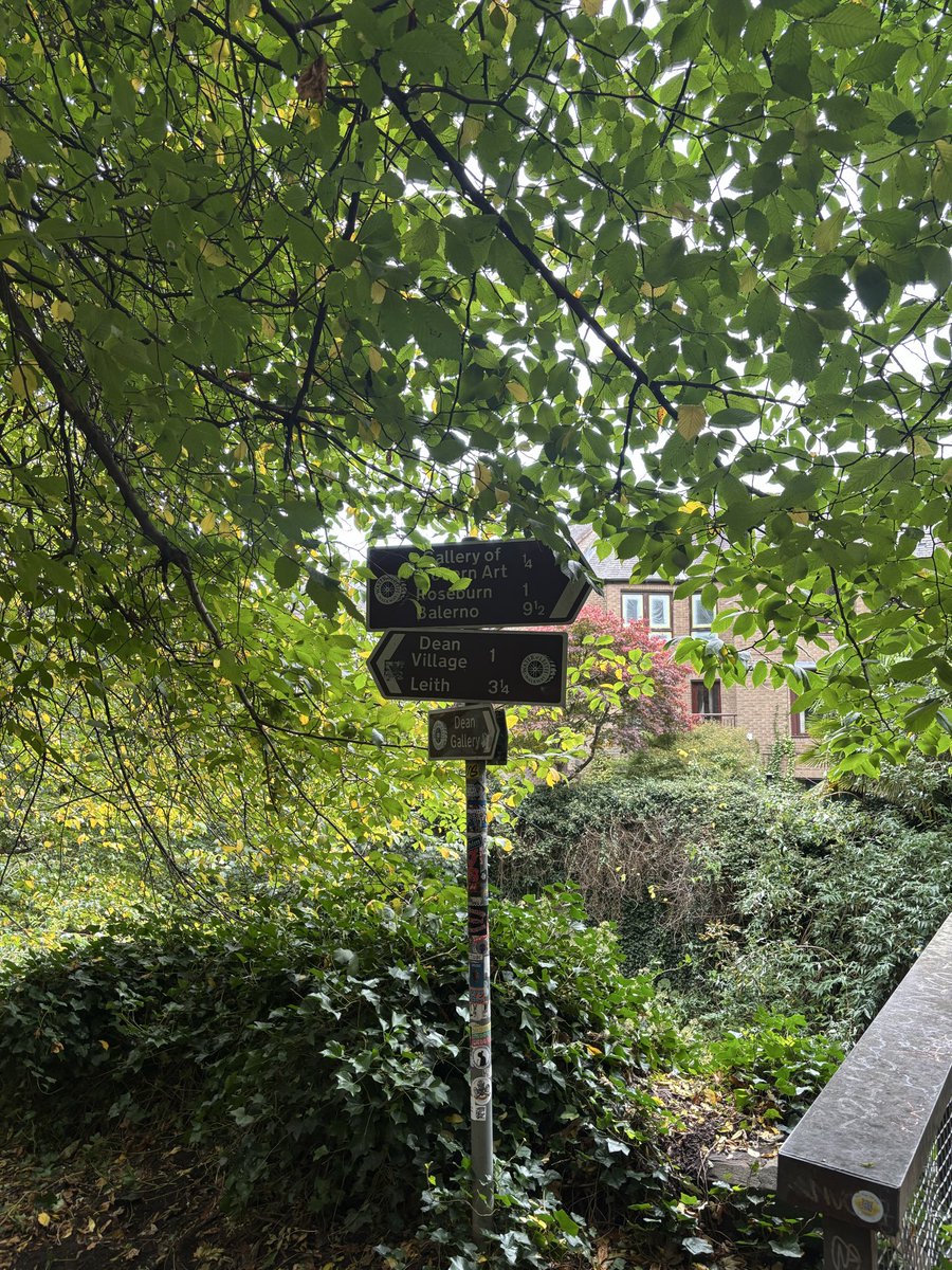 Noha Maakafi tweet media