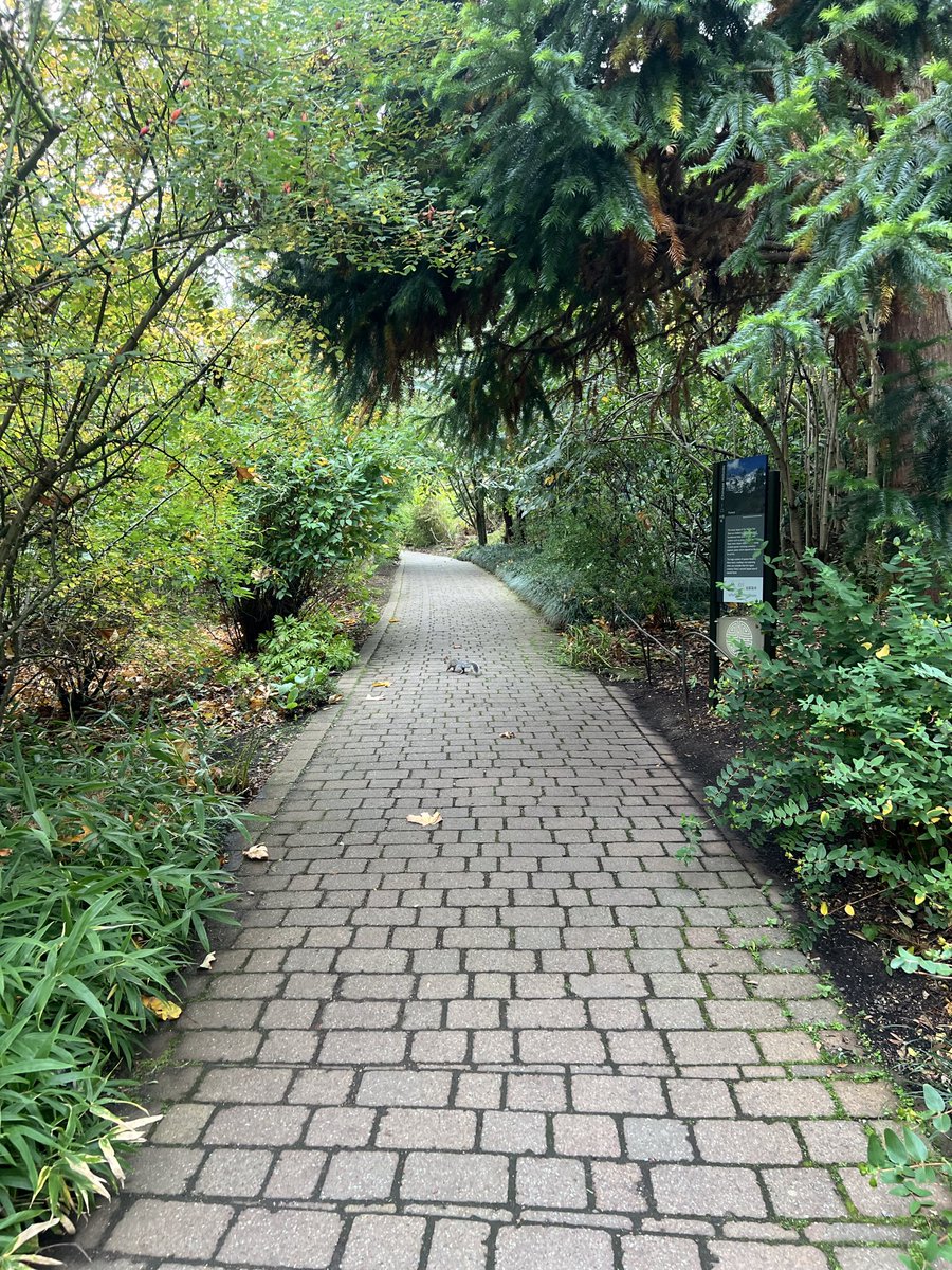 Noha Maakafi tweet media