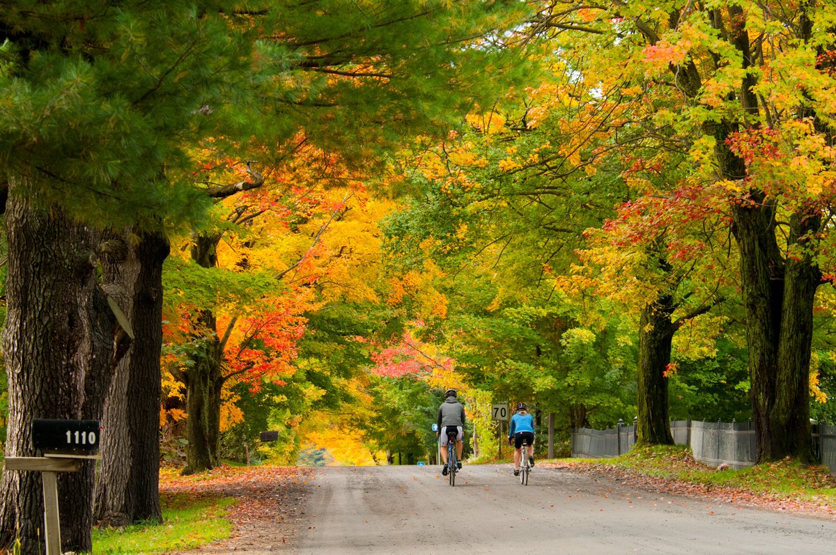 [ COMMUNIQUÉ ]

Renouvellement de l’Entente de partenariat régional et de transformation numérique : un outil pour le développement économique régional
des Cantons-de-l’Est. 

👉bit.ly/46JSSk3

#EPRTNT

📷 Cantons-de-l’Est ©️ GouvQc/JFBergeron