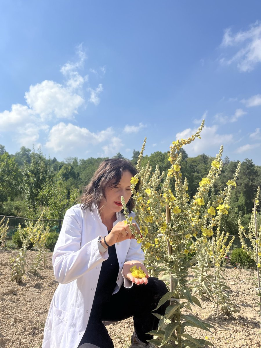 AktpSda's tweet photo. Geri planda olmayı sindiremeyecek kadar başarılıyız https://t.co/9EgArai4ll