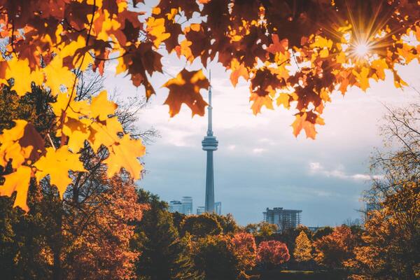 JL_Field's tweet photo. The best places to see autumn leaves in Toronto: https://t.co/AmCdJdzwSJ https://t.co/VdB82KqLUv