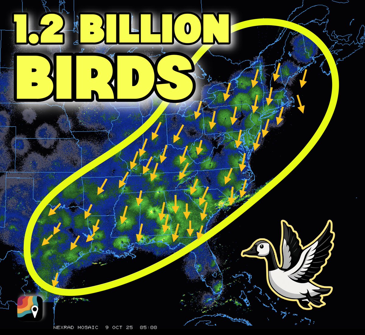 Turn off your lights! 1.2 BILLION birds are migrating over the East Coast, Tennessee Valley, Ohio Valley, Appalachians and Deep South each night! This is the most we can recall seeing.

There are so many birds that we can see them on weather radar – that's why we're seeing so