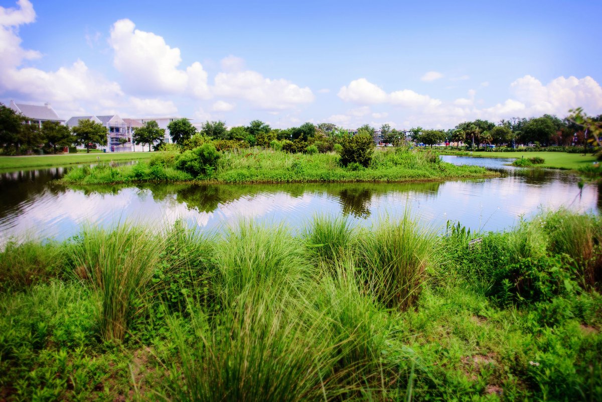 JerryPateDesign's tweet image. Great landscapes don’t start with plants, they start with the site. Sun, soil, slopes and context help shape designs that last. jerrypatedesign.com/the-art-of-sit…

#siteanalysis #landscapearchitecture #theartofsiteanalysis  #JerryPateDesign