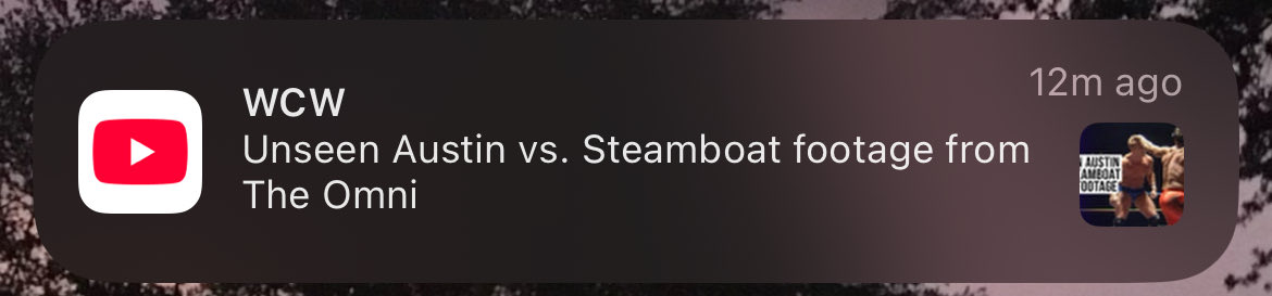 Good morning WCW fans!

youtu.be/Hy6UoZGZ_d4?si…