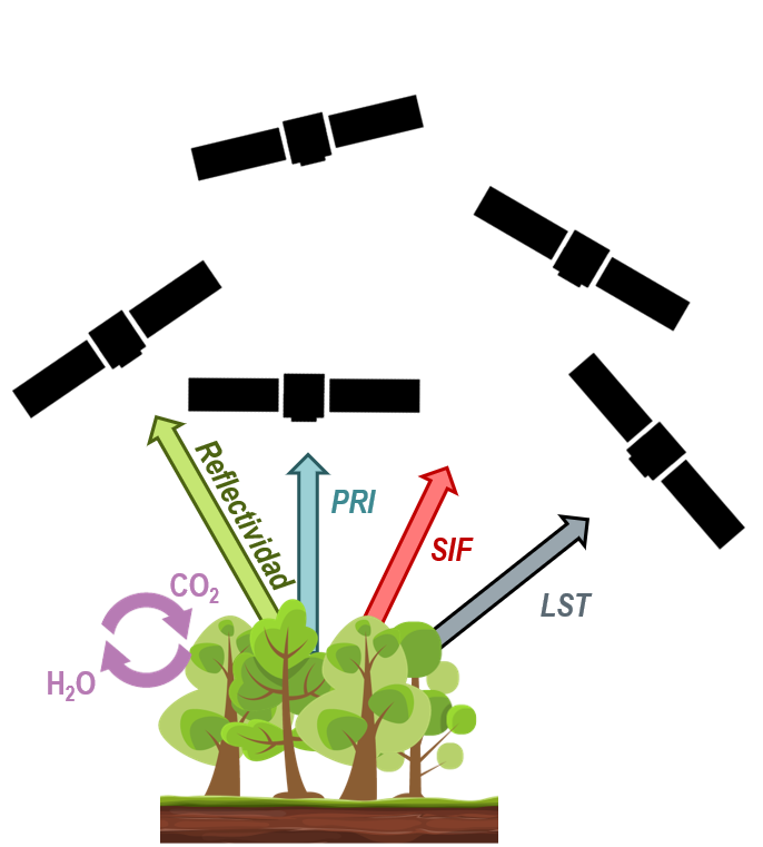 SpecLab CSIC tweet media