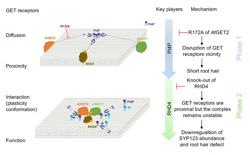 Christopher Grefen tweet media