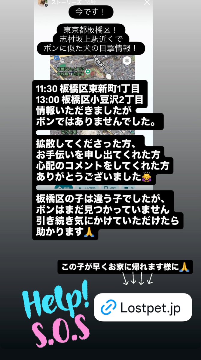 #拡散希望
#迷子犬
#東京都
#板橋区
10/9(木)13:00
板橋区小豆沢2丁目
志村一里塚交差点付近で目撃された犬はボンちゃんではありませんでした
11:30 板橋区東新町1丁目
13:00板橋区小豆沢2丁目
14:00 葬儀センター？
板橋警察署に確認したところ今現在、板橋区で保護された犬はいないとの事です