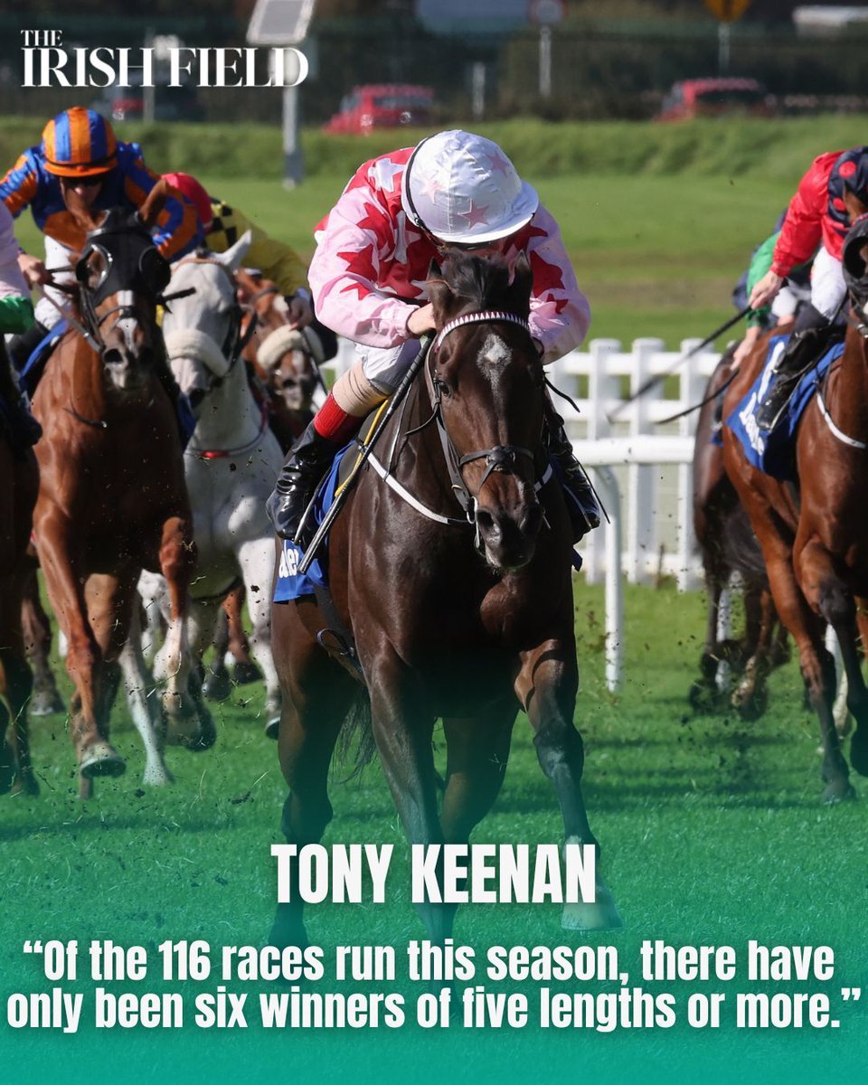 Tony Keenan looks back at a busy weekend of action with some horses to note from the Curragh and Gowrran Park
eu1.hubs.ly/H0nJ48n0