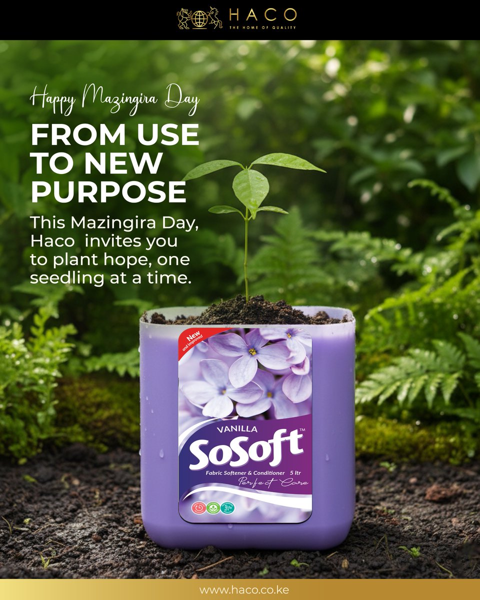 Happy Mazingira Day! 🌍
The future is in our hands. Let's celebrate by taking action. We're planting hope, one seedling at a time, and giving new purpose to what we already have.
Invest in the Earth, it’s the only home we have. 🌱
#MazingiraDay #PlantATree #GoGreen
