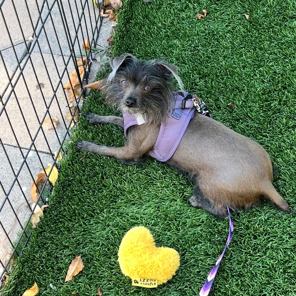 Good morning everyone ☀️ 
Have a great day 😊