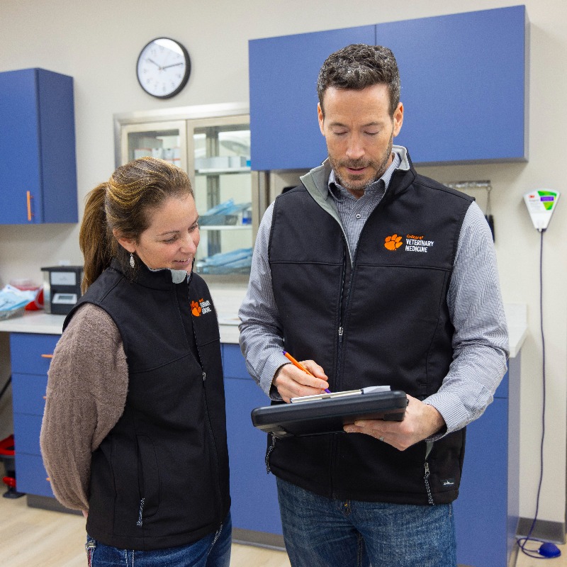 ClemsonUniv's tweet photo. A historic day for Clemson and South Carolina.

The Harvey S. Peeler Jr. College of Veterinary Medicine has opened its application window, officially welcoming future veterinarians to apply for the state’s first DVM program.

The first class begins in Fall 2026.