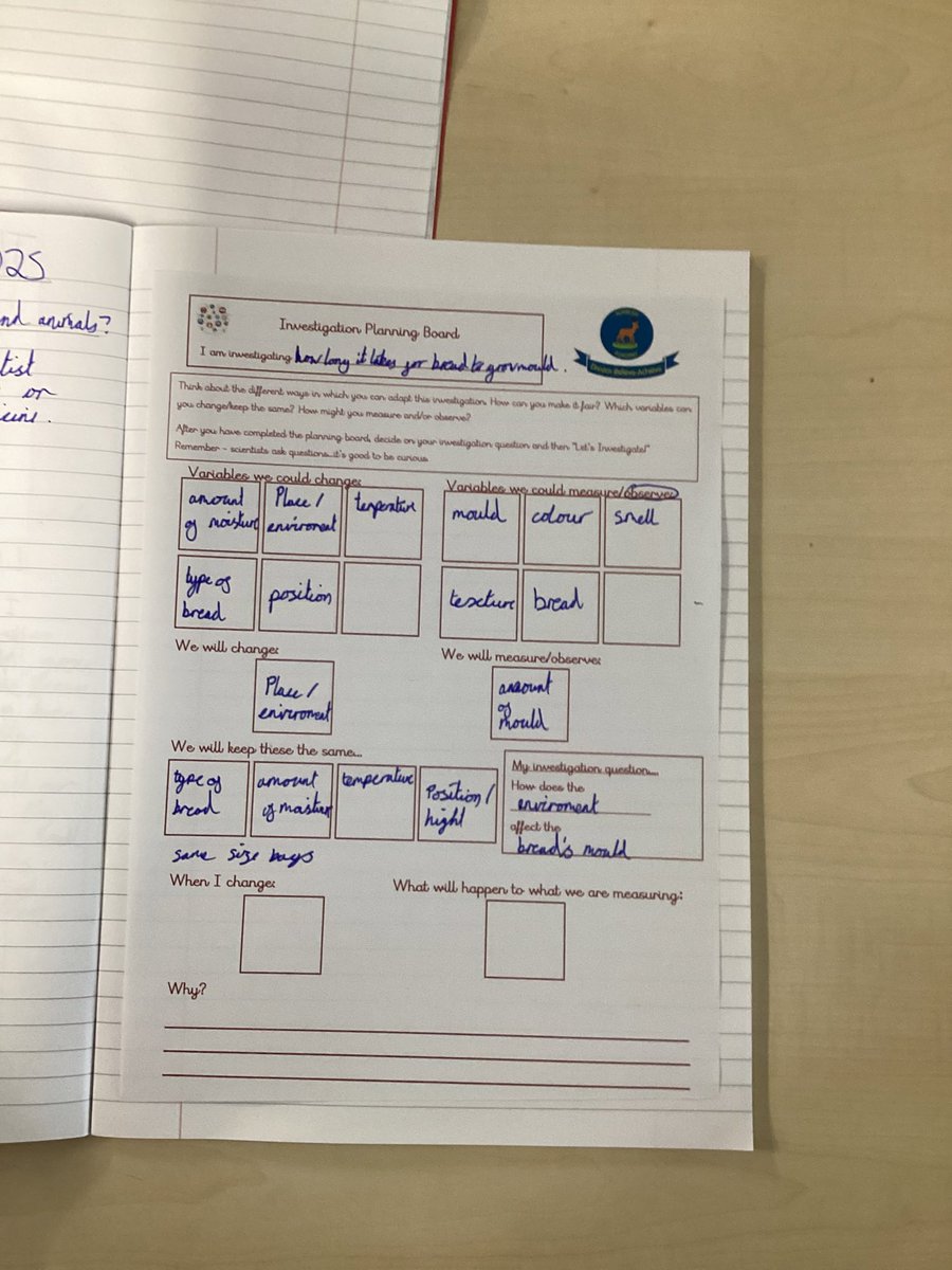 academy_roebuck's tweet photo. #Ashclass worked together to plan an investigation in Science. We chose a variable to change, to see how it would impact a slice of bread and if it would grow mould. https://t.co/X8ZJ2bDfdR