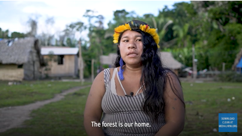 KooyJan's tweet image. 🇧🇷Illegal cattle ranching has devastated the territories of small farmers and Indigenous peoples in Pará, host of #COP30.

New report @hrw, going out on October 15.

Journalists can DM me for embargoed copy, interview requests, access to multimedia.
#ClimateEmergency