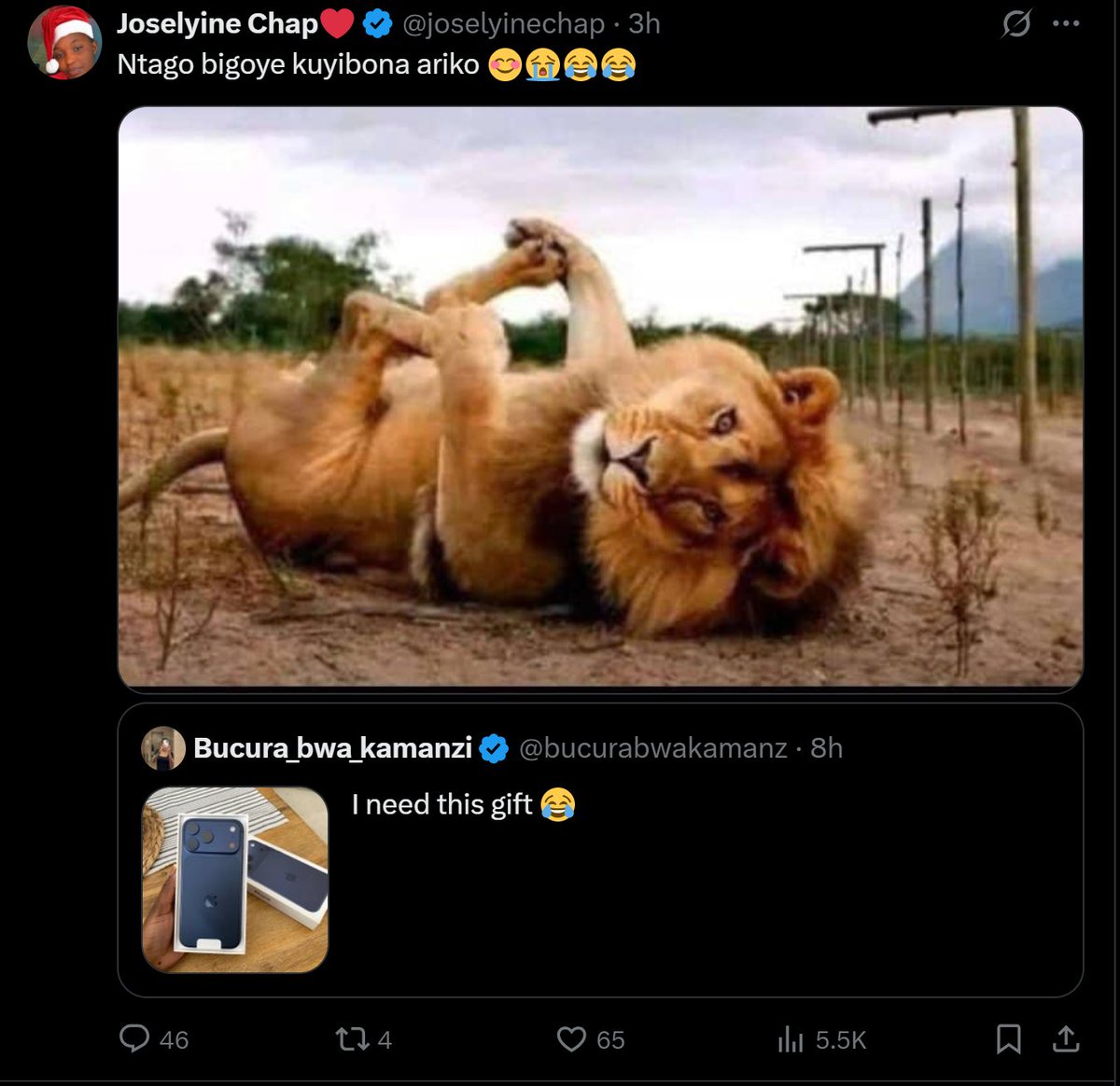 Tweet media one
