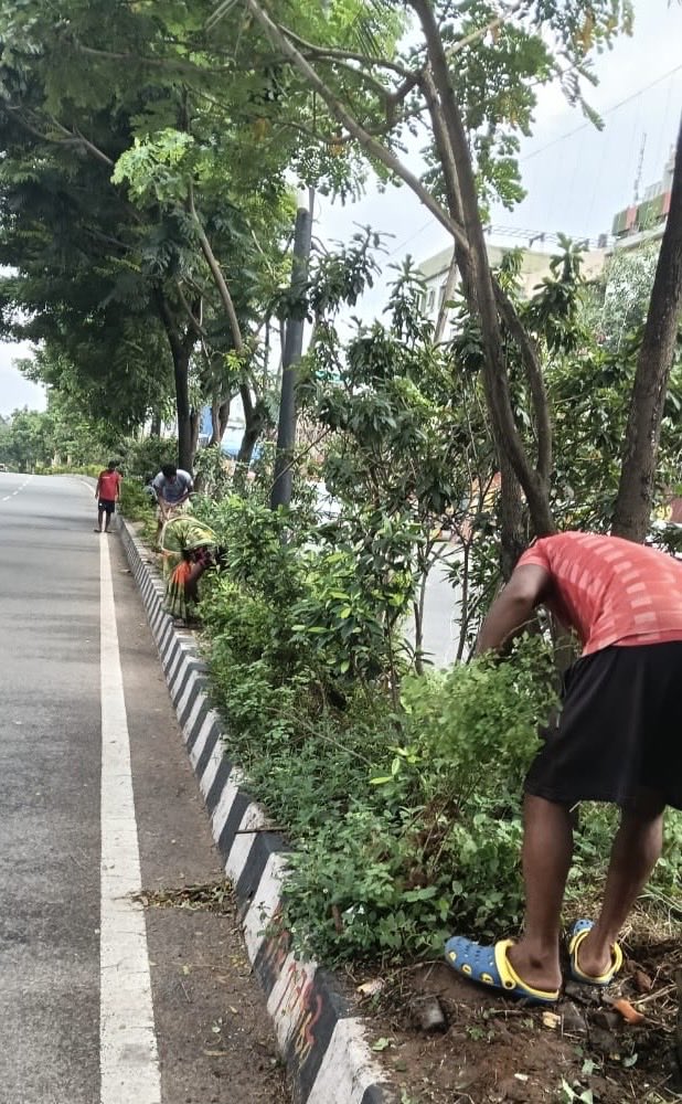 BSCL_BBSR's tweet image. City medians and landscaping are routinely maintained by having trees trimmed, garbage picked up, bushes clipped, and plants replaced.
#CityBeautification #UrbanGreening #CleanCity