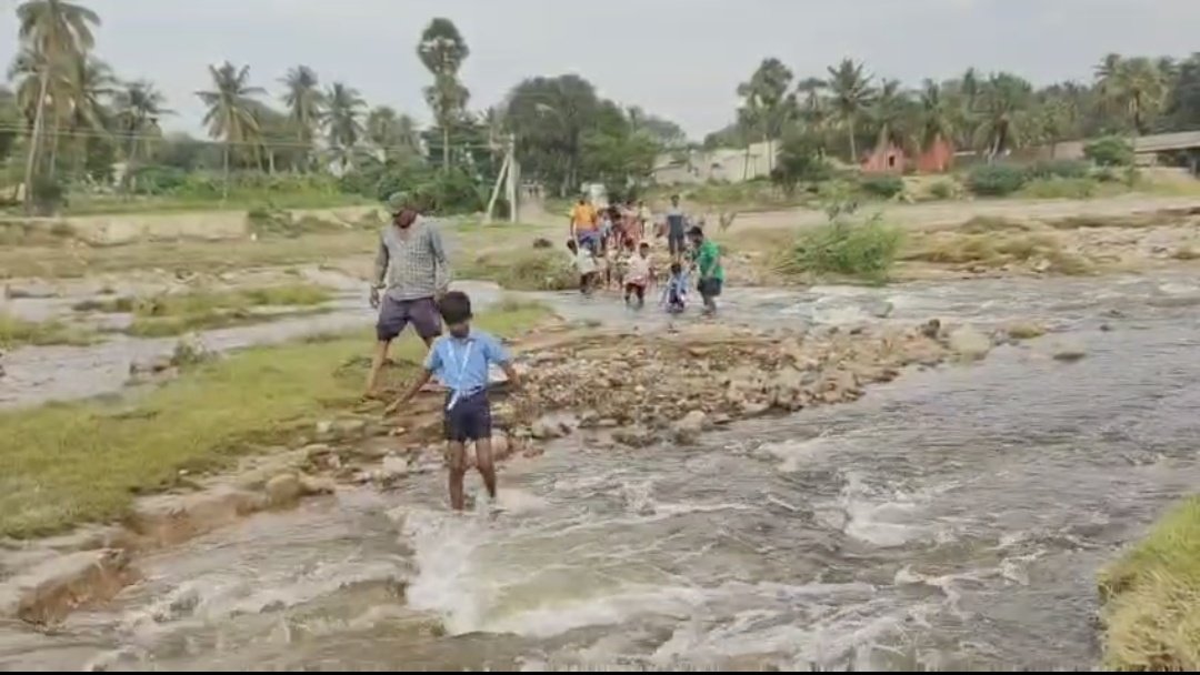 Nimisha S Pradeep (@nimishaspradeep) on Twitter photo It has been 3 days since the children of Meenur Kollaimedu village in #Vellore's #Gudiyatham attended school. Not bcz they are unwilling or have failed to complete their homework, but bcz the canal they must cross to reach school has become dangerously swollen. (1/4)
<a href="/xpresstn/">TNIE Tamil Nadu</a> It has been 3 days since the children of Meenur Kollaimedu village in #Vellore's #Gudiyatham attended school. Not bcz they are unwilling or have failed to complete their homework, but bcz the canal they must cross to reach school has become dangerously swollen. (1/4)
<a href="/xpresstn/">TNIE Tamil Nadu</a>