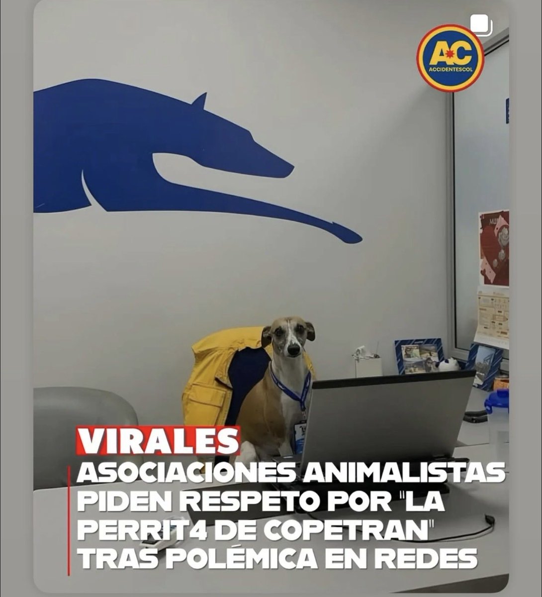 Yo a veces me pregunto si es que en otros países se ve esto? 🤔 Que viva Colombiaaa