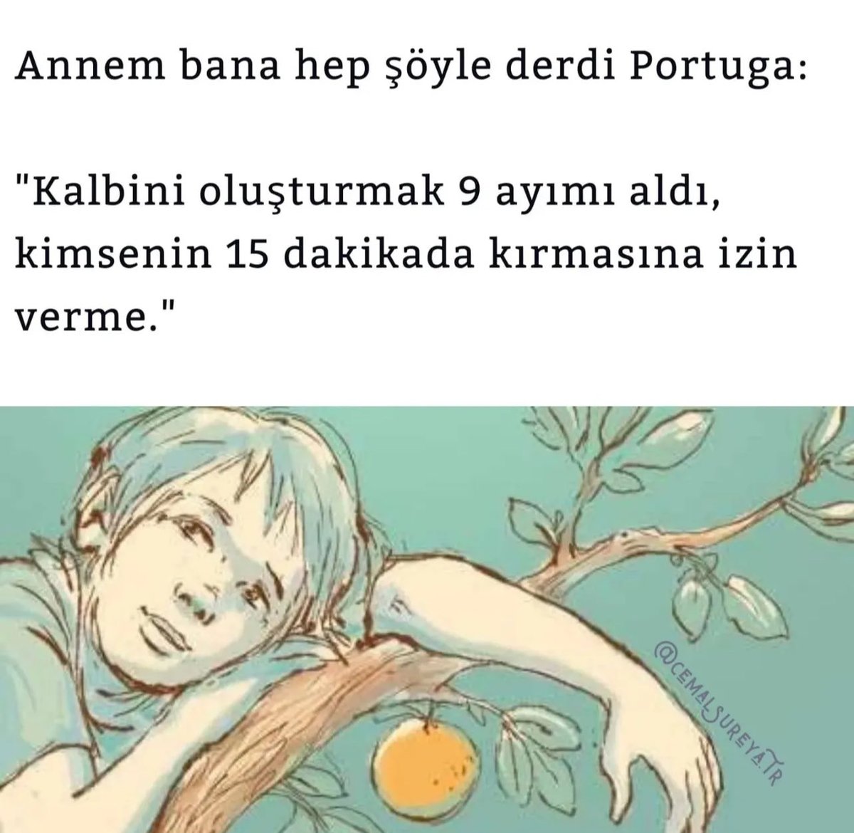 İyi Şeyler (@iyigeldii) on Twitter photo 