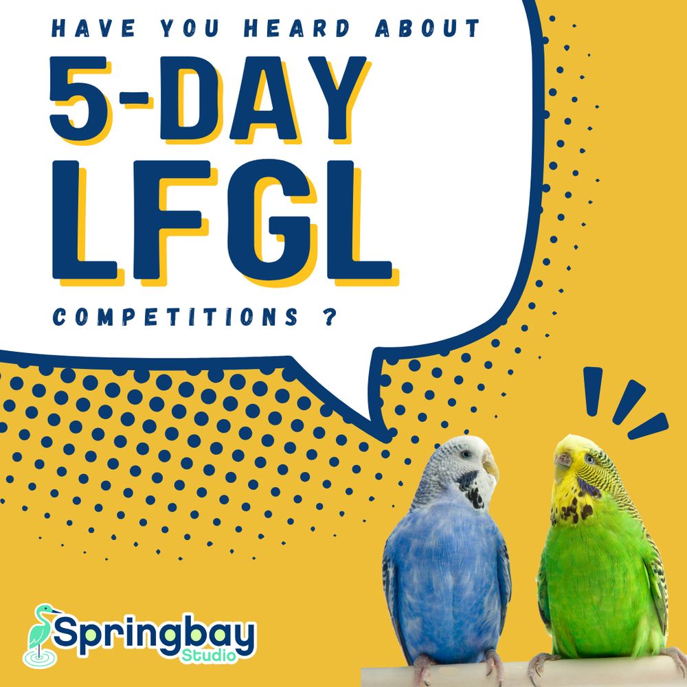 SpringbayStudio's tweet image. The League for Green Leaders is evolving! 🌎 Introducing 5-day competitions that run weekly from September - June, giving classrooms more chances to learn from games for a greener planet! Join our webinar to find out more: bit.ly/41B5FlV #gbl #LeagueForGreenLeaders