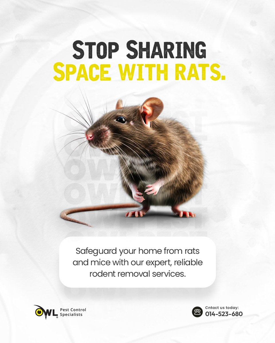 owlpestcontrol's tweet image. Stop Sharing Your Space with Rats.
Rats and mice in your home are more than a nuisance; they pose health risks and can damage your property.
Our expert rodent control service removes them completely.
Call Us: Mon-Fri 9am-5pm
Visit: owlpestcontrol.ie
#RodentControl
