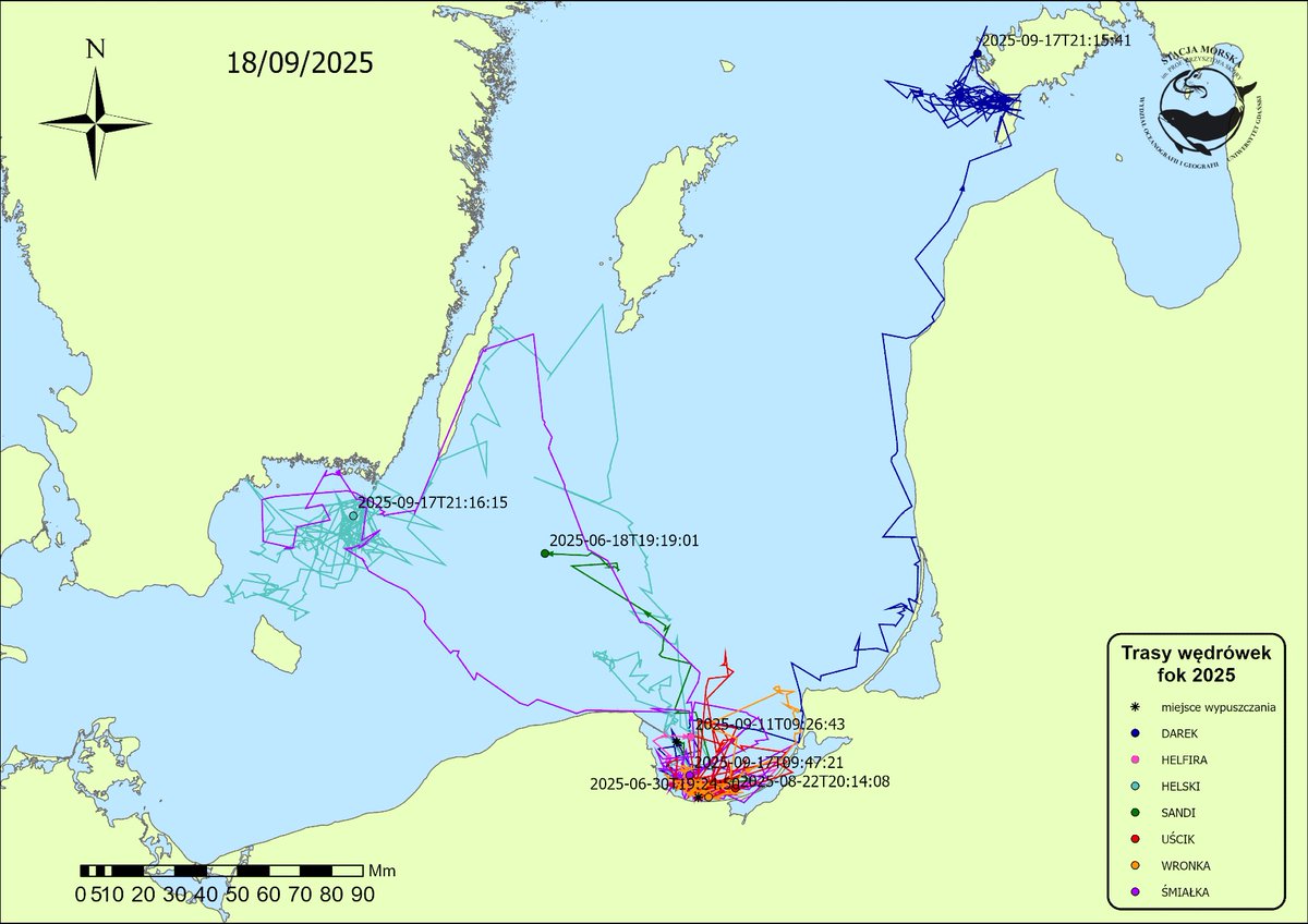 Śmiałka, Helski i Darek. To te trzy z siedmiu fok, naszych tegorocznych foczych pacjentów zapuściły się najdalej. I mają za sobą najdłuższą wędrówkę. Mapa przedstawia trasy wędrówek w połowie września 👈

Pomagaj na ratujemyzwierzaki.pl/fokarium 💙