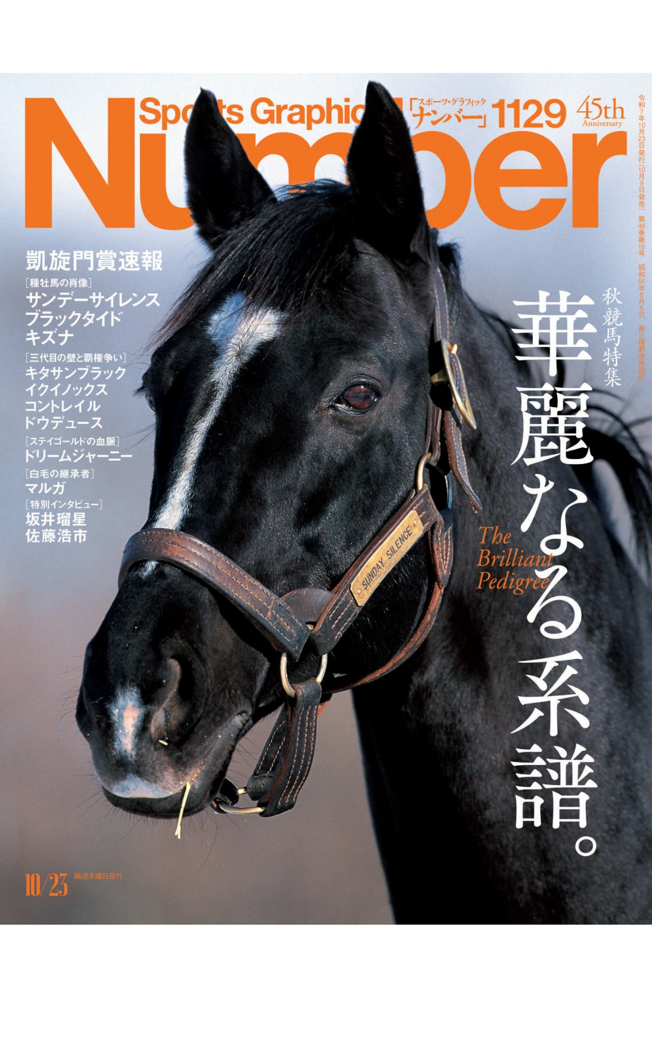 １９８５）サンデーサイレンス (Sunday Silence)写真額　競馬関係 1985）サンデーサイレンス (Sunday Silence)写真額 競馬関係