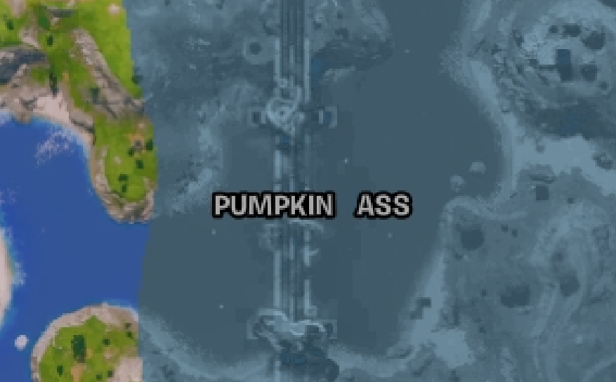 Weird ass raccoon 🔞 (@weirdercooper) on Twitter photo 