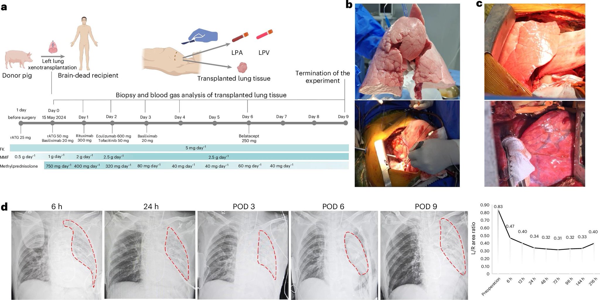 細胞の共生進化 : 始生代と原生代における微生物群衆の世界 上 ヨドバシ.com - 細胞の共生進化〈下〉始生代と原生代における