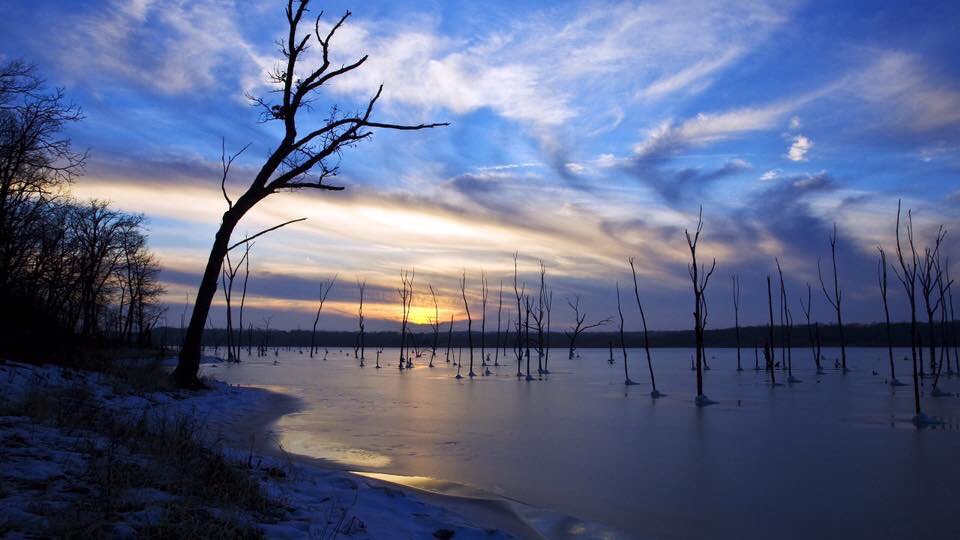 RtEnPassant's tweet image. 