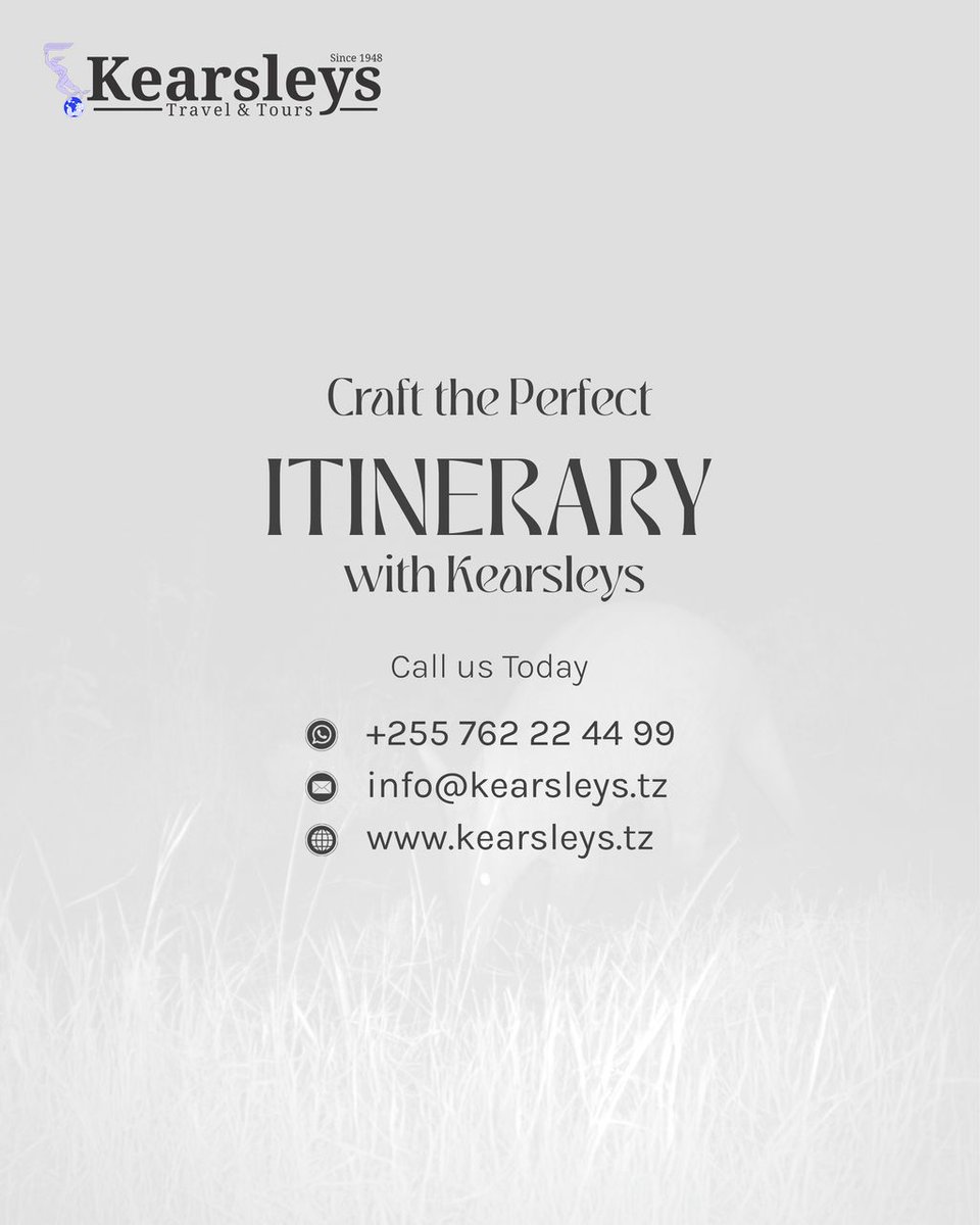 kearsleys's tweet photo. Next time you’re on safari, keep your eyes peeled and your camera ready—you might just spot this elusive little night-shifter. 🐾

Who’s excited to add the aardvark to their wildlife checklist?
📩 info@kearsleys.tz
📞 +255 762 22 44 99
🌐 https://t.co/ERlKUFRzwa https://t.co/8R0HVgTPBt