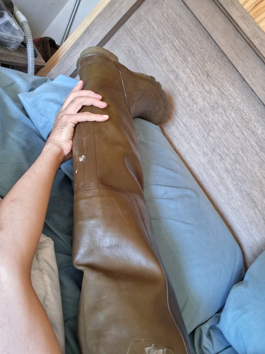 Rubberbootpig tweet media