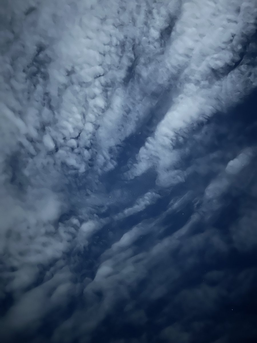 HiroTakeuchi's tweet image. 涼しい夜風と雲一つ無い明るい月夜がとてもとても気持ち良いけど
どちらかと言うと少しでも空に雲がある方が好きで空の大きさを感じながらついついボーっとしたくなる
季節の中でも秋が1番好き
今日も今日とて