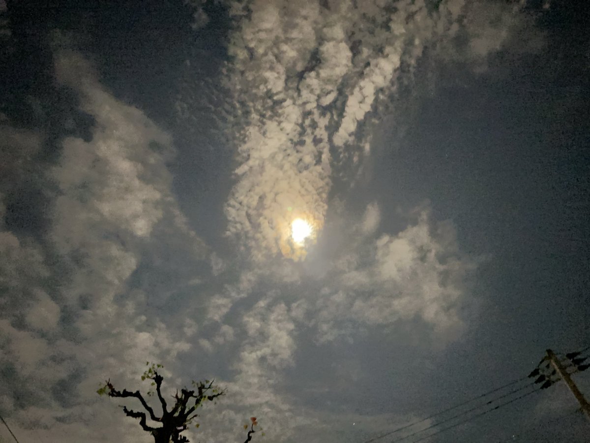 HiroTakeuchi's tweet image. 涼しい夜風と雲一つ無い明るい月夜がとてもとても気持ち良いけど
どちらかと言うと少しでも空に雲がある方が好きで空の大きさを感じながらついついボーっとしたくなる
季節の中でも秋が1番好き
今日も今日とて