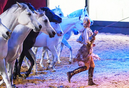 The Equiery tweet media