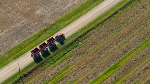 wcreec's tweet image. Harvest season is in full swing with many farmers in the field and out on the road. 
Ensure a safe and successful harvest with some helpful reminders ›› buff.ly/nZj1LQ0 🚜