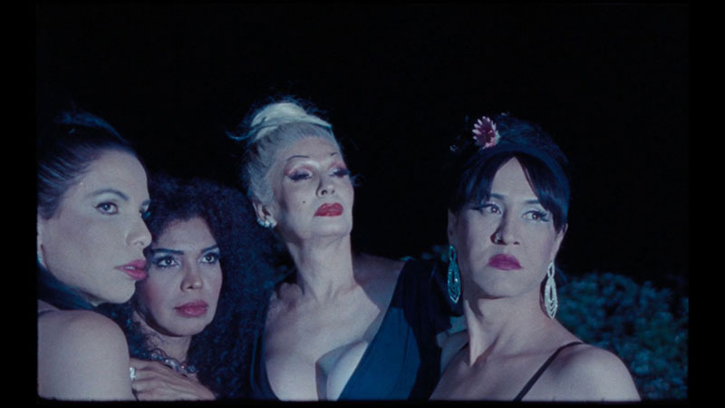 🔴 𝘁𝗼𝗱𝗮𝘆'𝘀 #𝘃𝗶𝗱𝗲𝗼𝗮𝗿𝘁 𝗻𝗲𝘄𝘀 𝗼𝗻 𝗠𝗮𝗴𝗺𝗮𝗿𝘁: Rose Lowder: Bouquets | Saodat Ismailova | a hand that is all our hands combined | The Associations of Pauline Curnier Jardin magmart.it/news.php