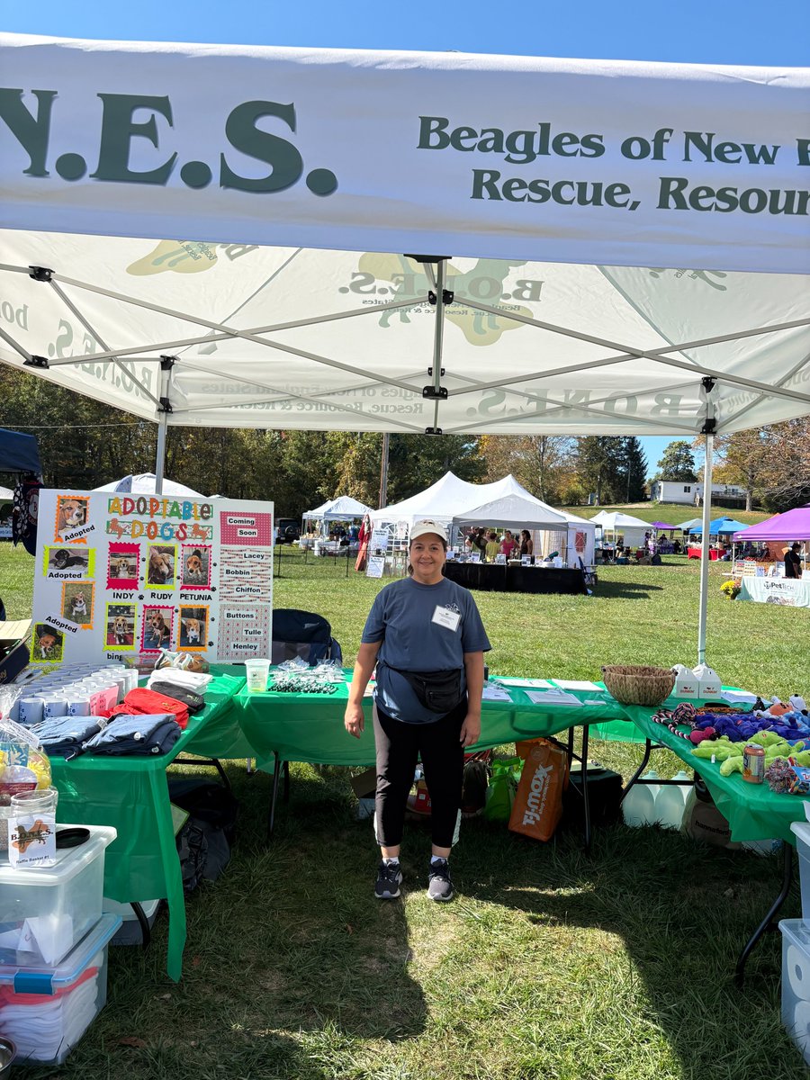 Happy Adopt a Shelter/Rescue Dog Month! 🧡
We're still smiling after seeing so many happy faces at the Pet Rock Festival! Thanks to everyone who came out to support rescue. Every dog deserves a loving home. Will you make a shelter dog's October extra special? #adoptdontshop