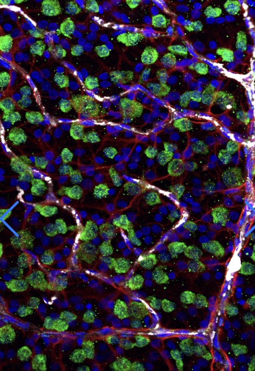 Sivak Lab tweet media