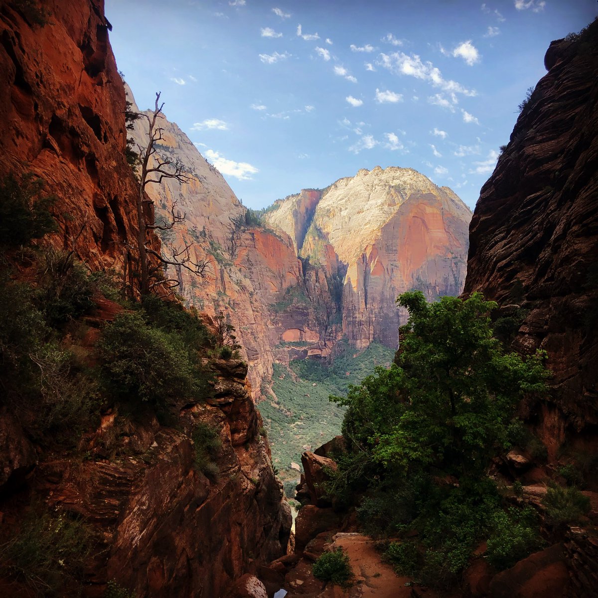 youngken2's tweet image. Hiking Zion National park is breathtaking, literally breathtaking if you get too close to the edge. Angels Landing is not for those scared of heights and wear proper shoes, I had trail running shoes on and nearly slid off the side 😬