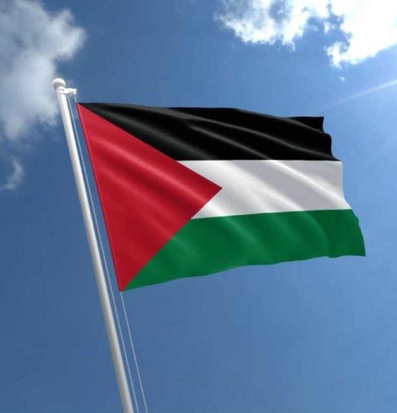 Sami Murad tweet media